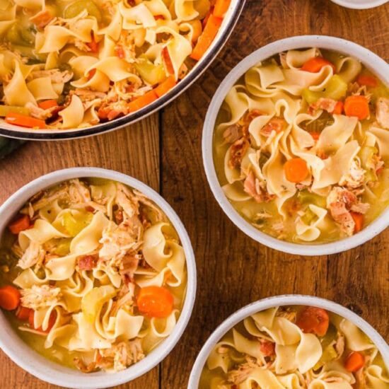 Ultimate Chicken Noodle Soup - Recipe photo by The Cookin Chicks