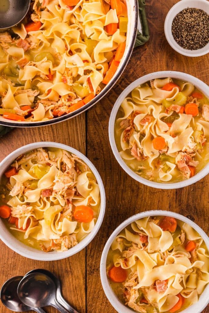 Ultimate Chicken Noodle Soup - Recipe photo by The Cookin Chicks