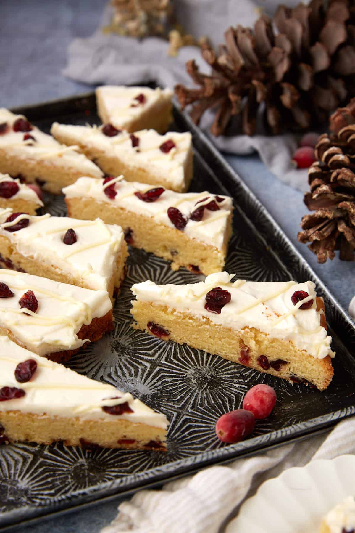 Cranberry Bliss Bars - Recipe photo by Barbara Curry