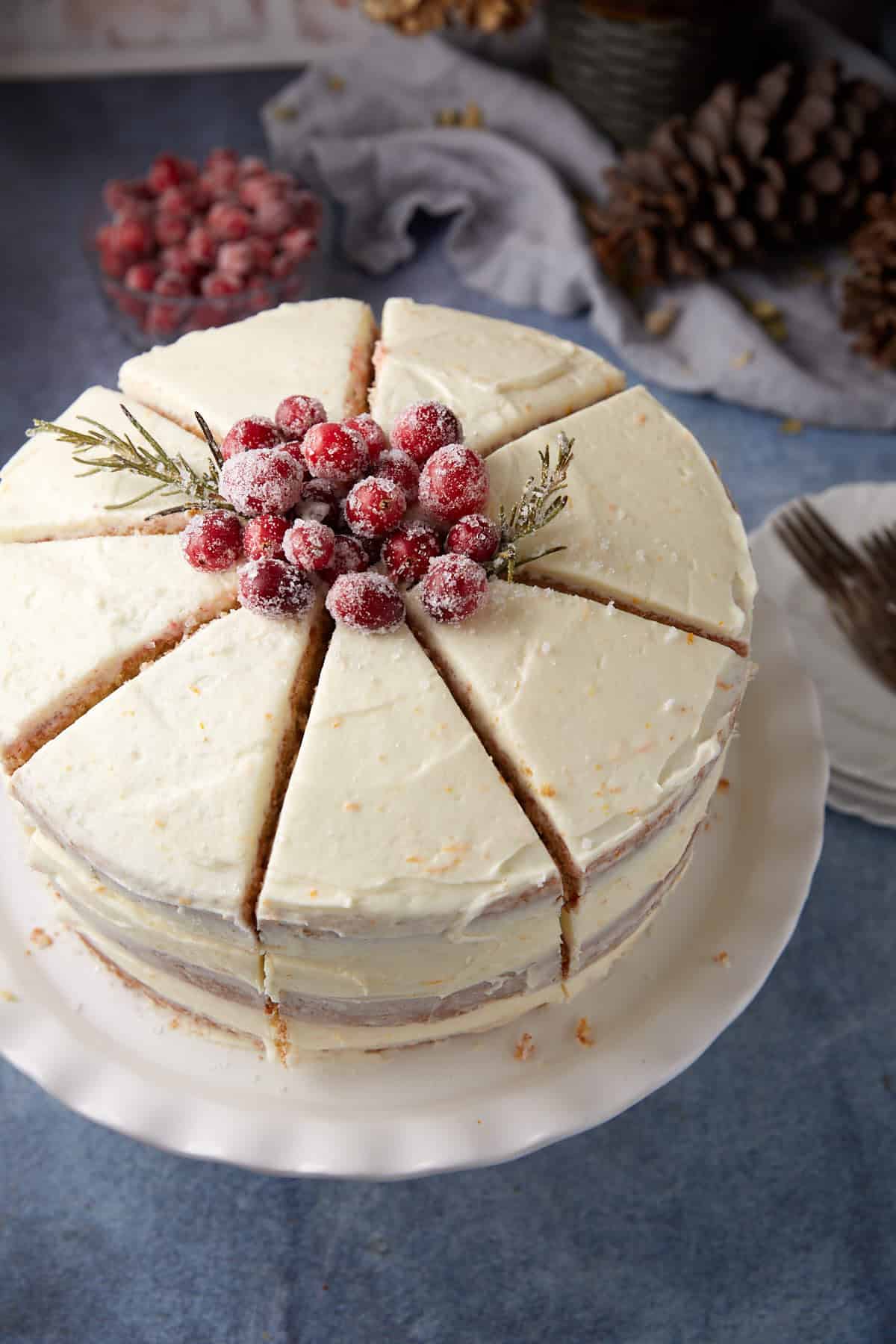 Moist Cranberry Cake - Recipe photo by Barbara Curry