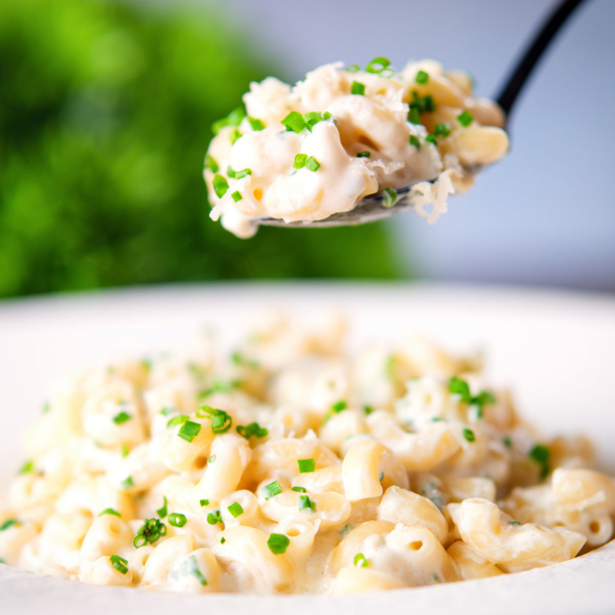 Cream Cheese (Philadelphia) Pasta - Recipe photo by Brian Jones