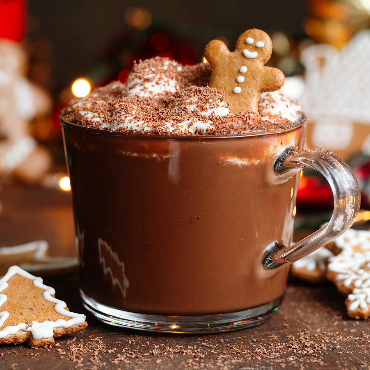 Gingerbread Hot Chocolate - Recipe photo by thehealthfulideas