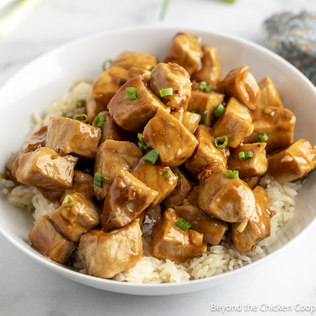 Honey Garlic Pork - Recipe photo by BeyondtheCoop