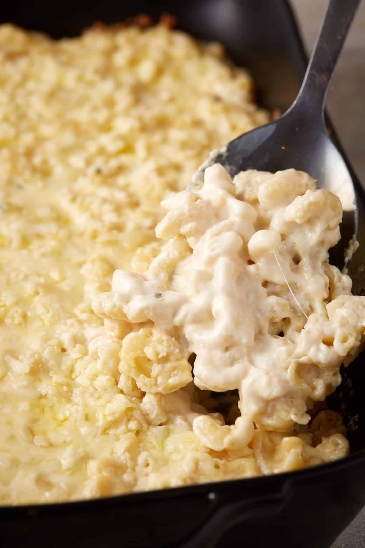 Baked Mac and Cheese - Recipe photo by Barbara Curry