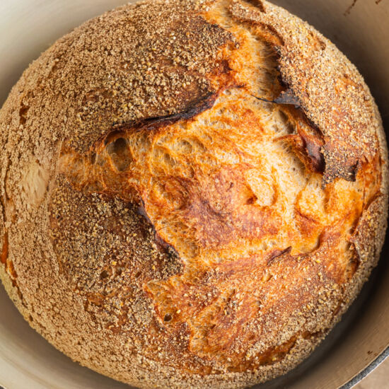 Whole-Wheat Dutch Oven Bread - Recipe photo by homecookingcollective