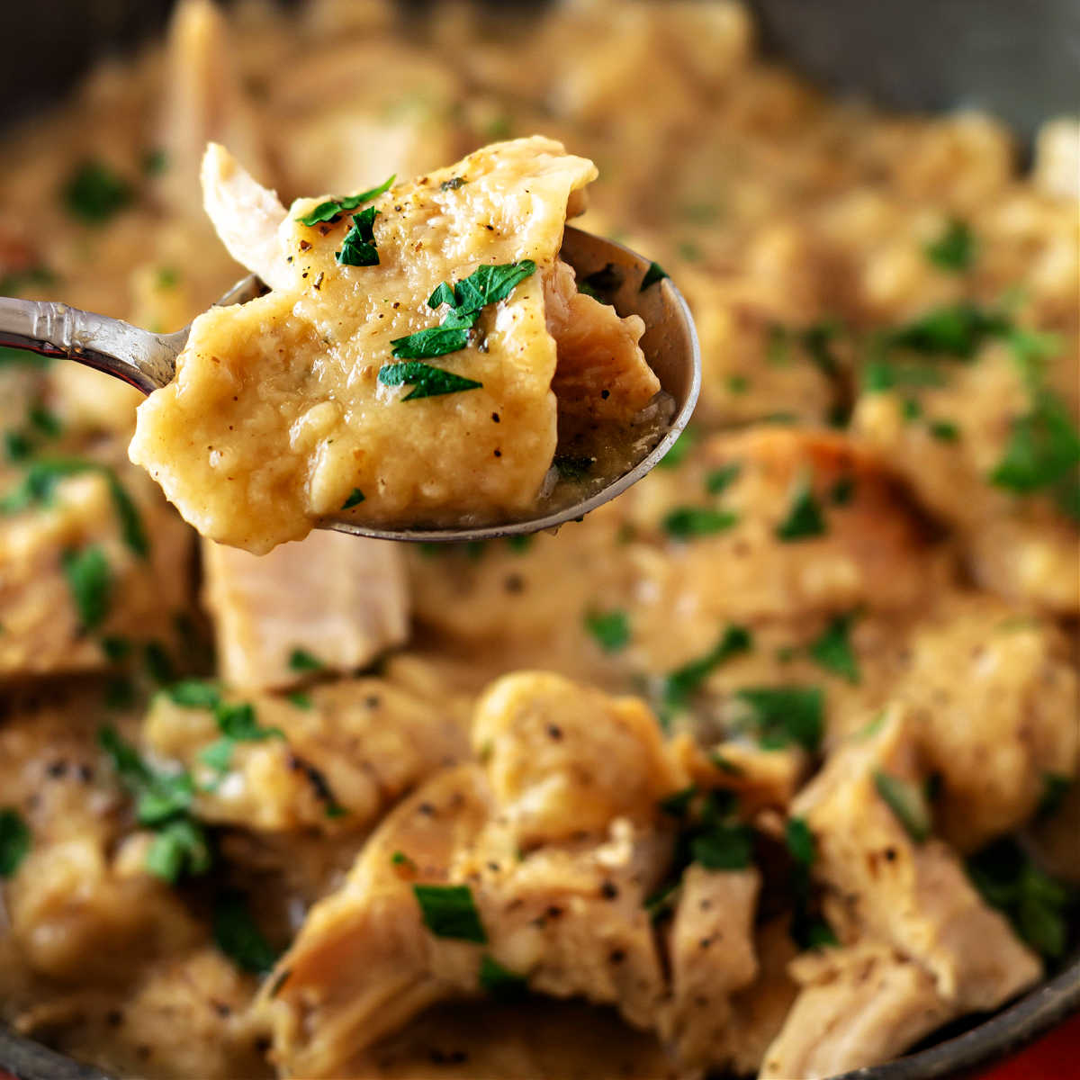 Turkey and Stuffing Dumplings - Recipe photo by onlinepastrychef