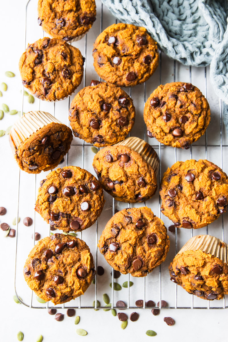 Pumpkin Chocolate Chip Muffins - Recipe photo by Garden in the kitchen