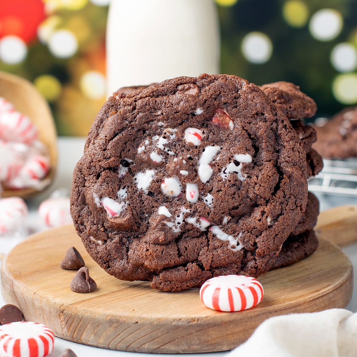 Chocolate Peppermint Cookies - Recipe photo by IrenaMacri