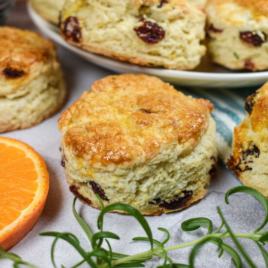 Cranberry Scones - Recipe photo by bastecutfold