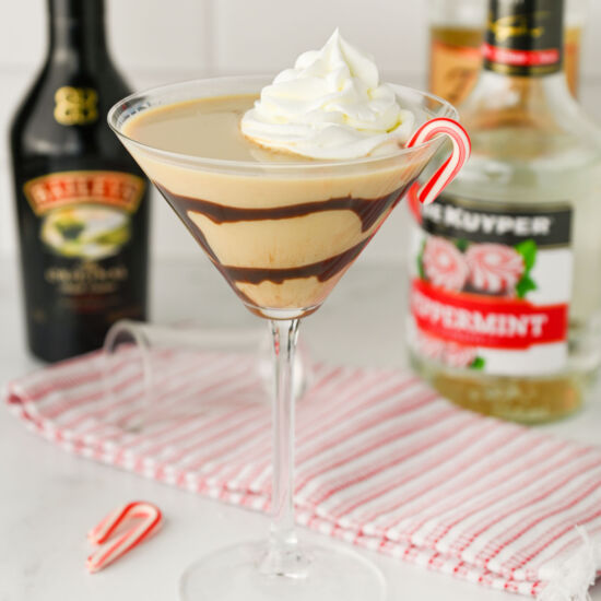 Bailey's Peppermint Martini - Recipe photo by The Cookin Chicks