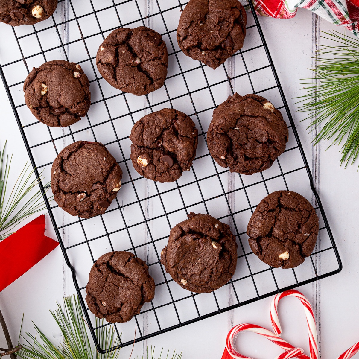 Double Chocolate Peppermint Cookies - Recipe photo by mytxkitchen