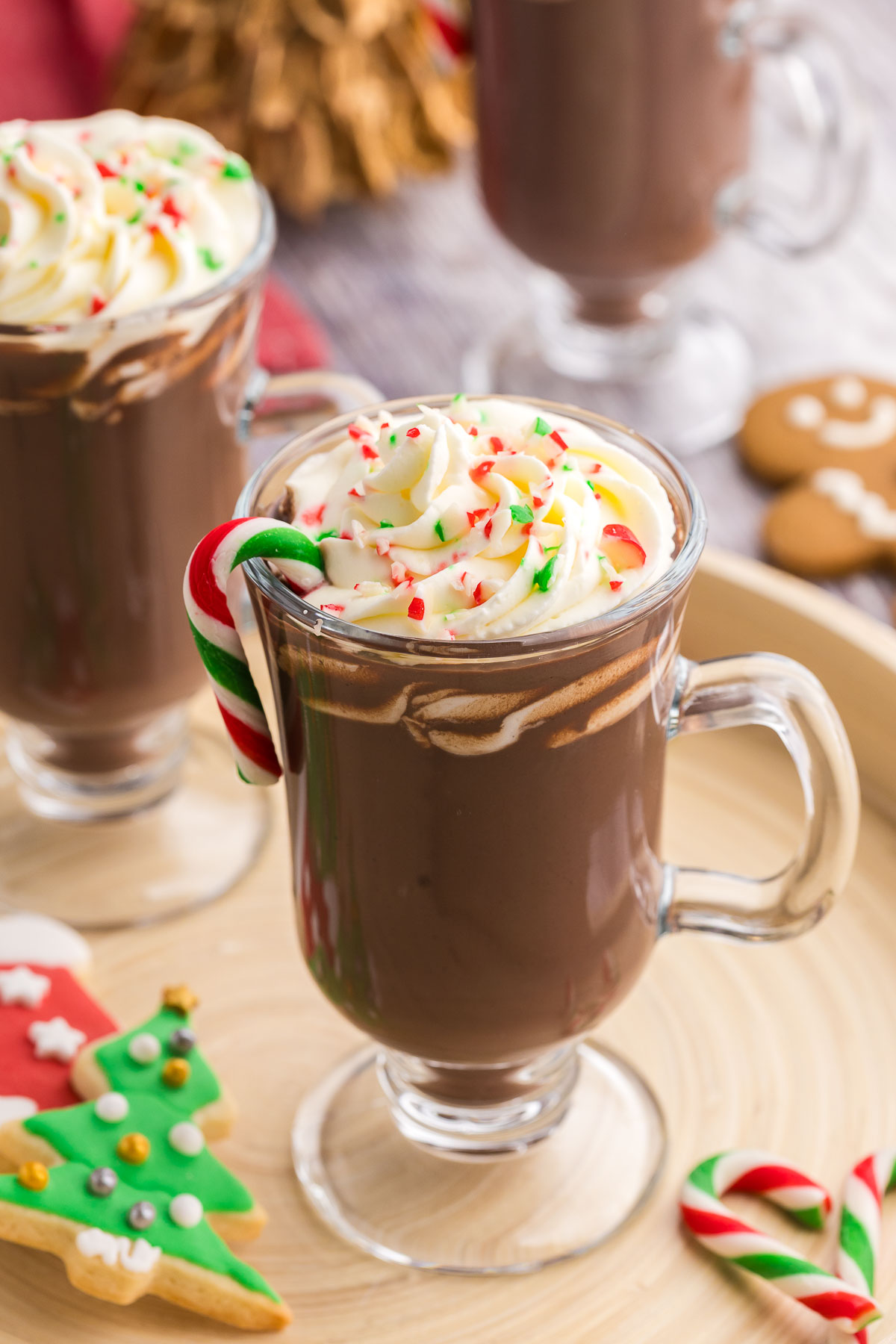 Peppermint Hot Chocolate - Recipe photo by TheRecipeNest