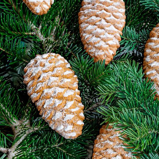 Pinecone Molded Gingerbread Cookies - Recipe photo by MildN