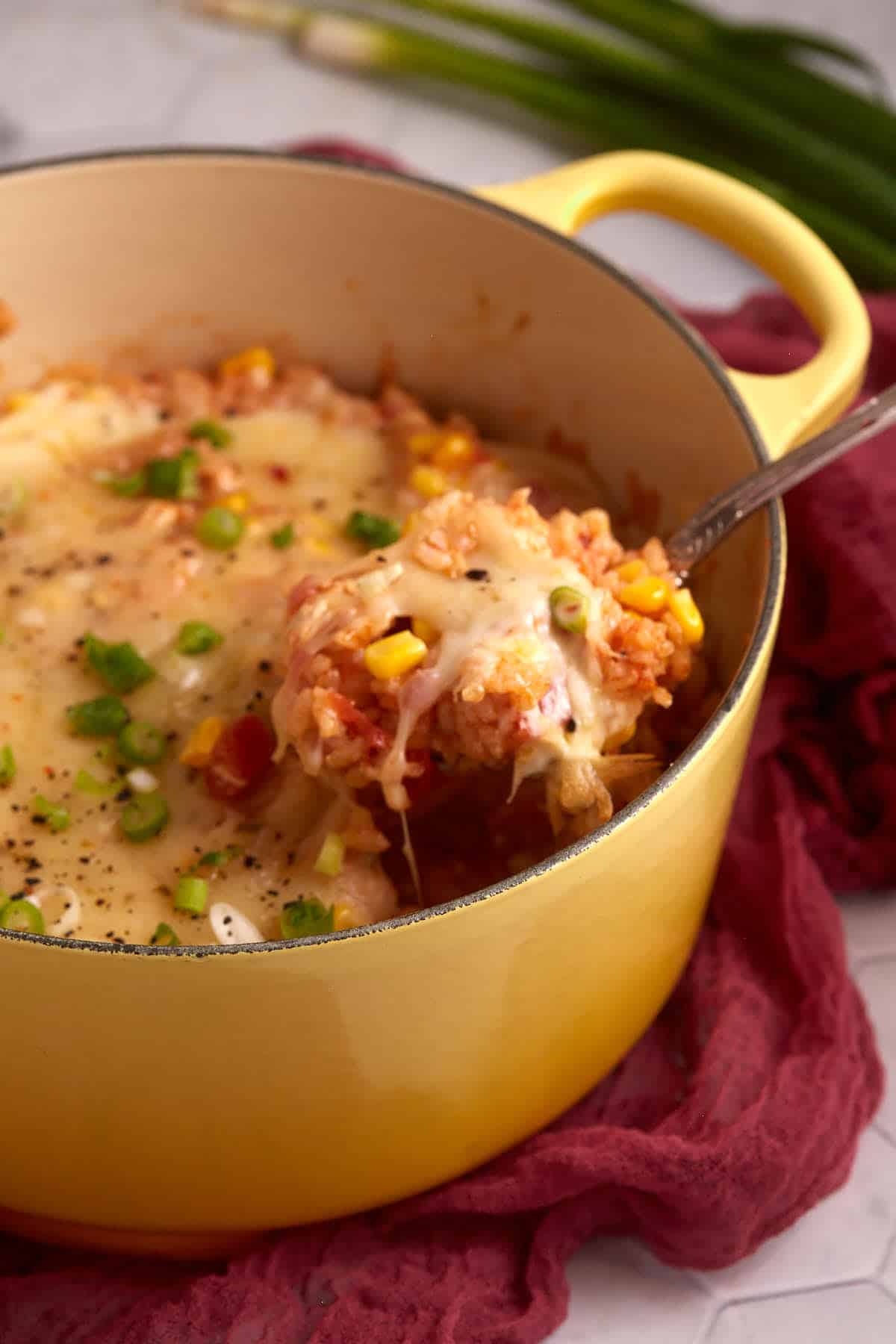 One Pot Southwest Chicken and Rice - Recipe photo by Barbara Curry
