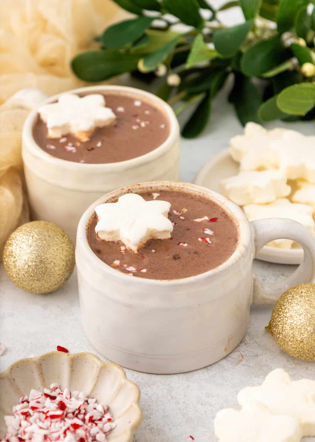 Crockpot Hot Chocolate - Recipe photo by livingchirpy