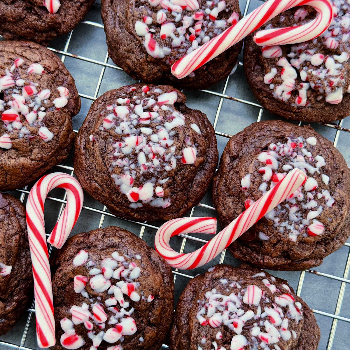 Peppermint Chocolate Cookies - Recipe photo by Foodtastic Mom