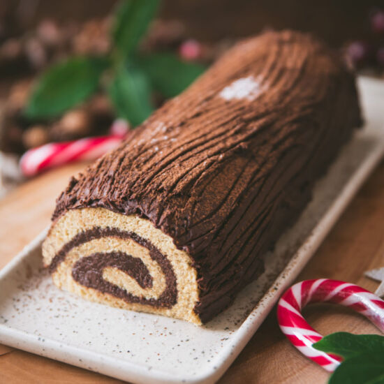 Chocolate Yule Log Cake - Recipe photo by zesttangerine
