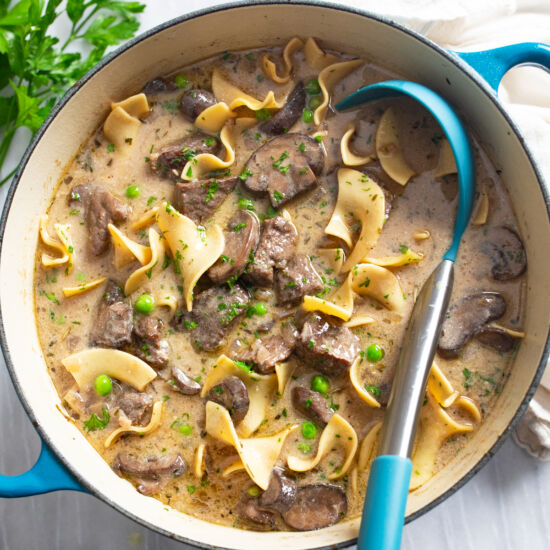 Beef Stroganoff Soup - Recipe photo by TheCozyCook