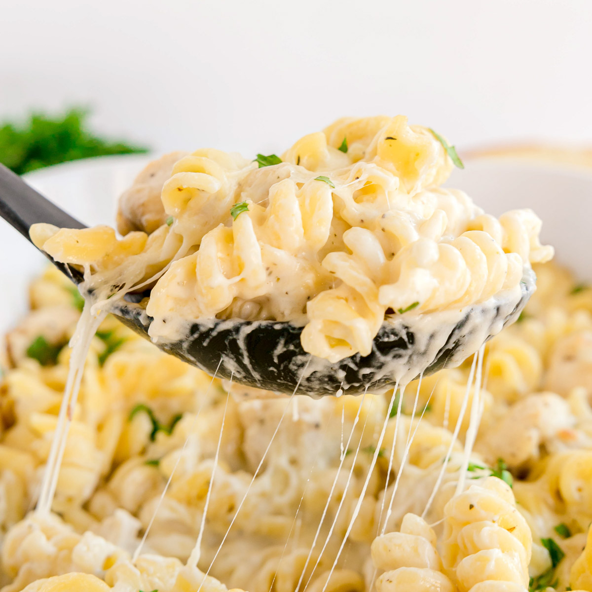 Chicken Alfredo Pasta Bake - Recipe photo by KyleeCooks