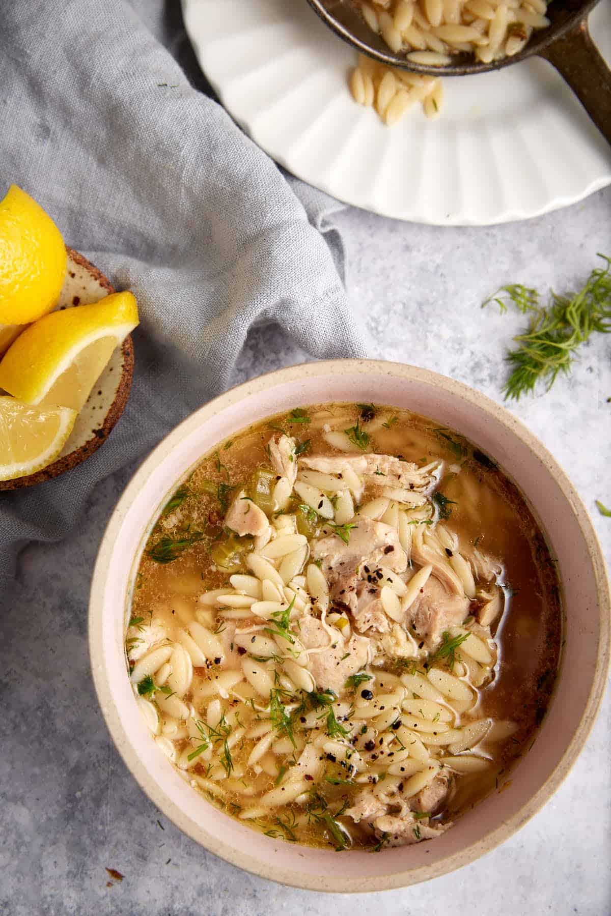 One-Pot Lemon Chicken Orzo Soup - Recipe photo by Barbara Curry