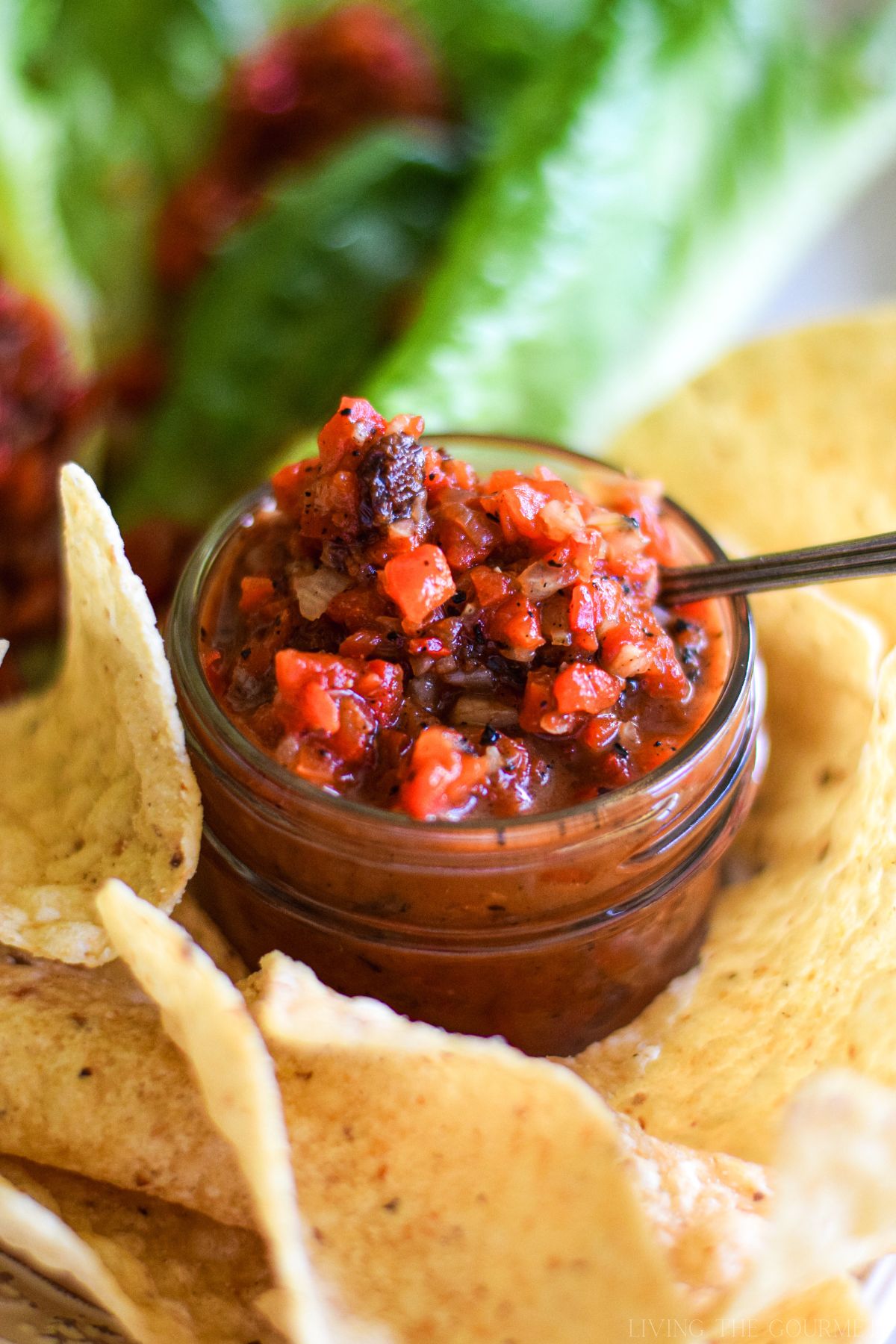 Roasted Red Pepper Dip - Recipe photo by LivingtheGourmet