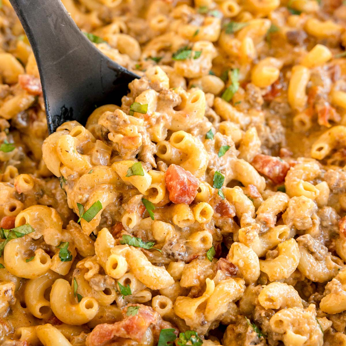 Taco Mac and Cheese - Recipe photo by KyleeCooks