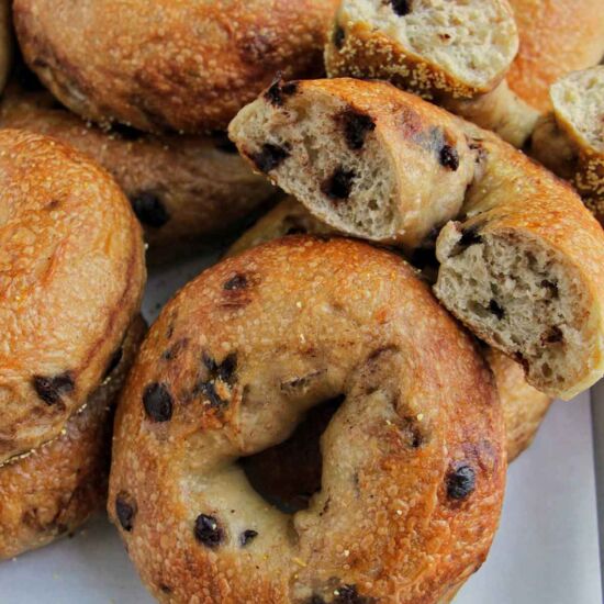 Chocolate Chip Bagels - Recipe photo by homebodyeats