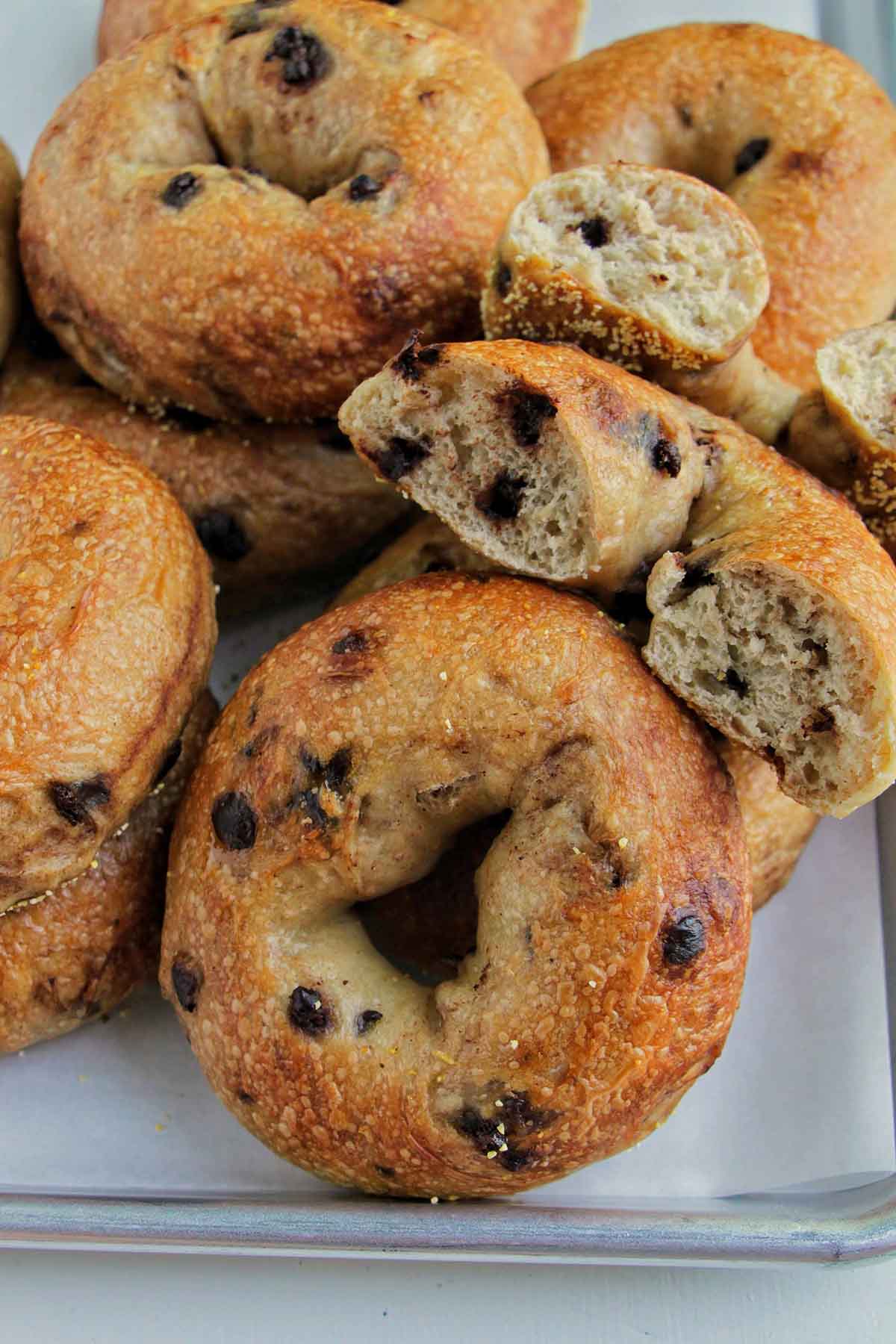Chocolate Chip Bagels - Recipe photo by homebodyeats