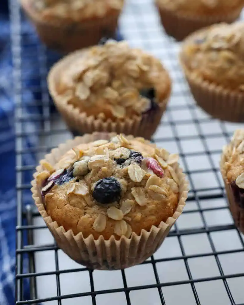 Blueberry Oatmeal Muffins - Recipe photo by Small Town Woman