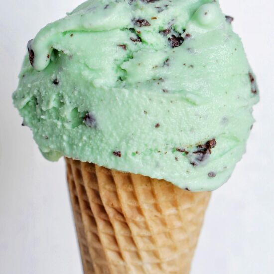 Mint Chocolate Chip Italian Gelato - Recipe photo by homebodyeats
