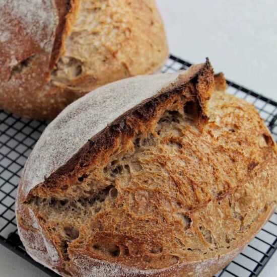 Whole Wheat Sourdough Batard - Recipe photo by homebodyeats