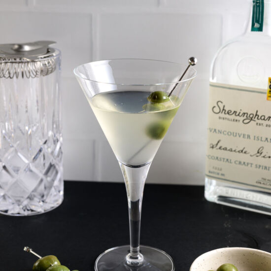 Dry Gin Martini - Recipe photo by Find Your Cocktail