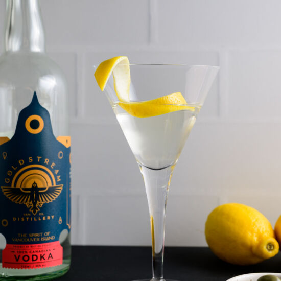 Dry Vodka Martini - Recipe photo by Find Your Cocktail