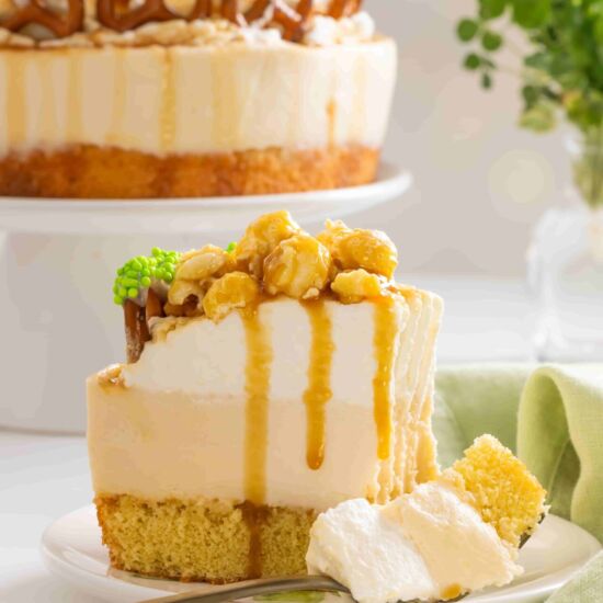 No Bake Baileys Cheesecake - Recipe photo by hipmamasplace