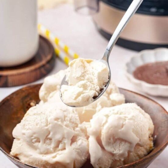 Coconut Milk Ice Cream - Recipe photo by littlebitrecipes