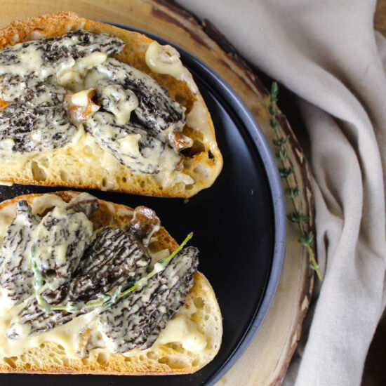 Morel Mushroom Toast - Recipe photo by TheSiftedField2