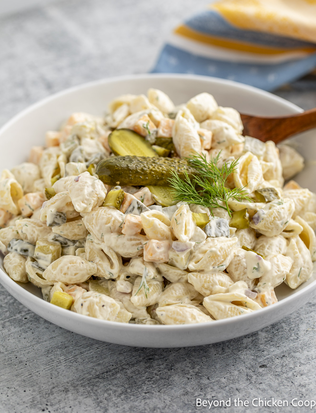 Dill Pickle Pasta Salad - Recipe photo by BeyondtheCoop