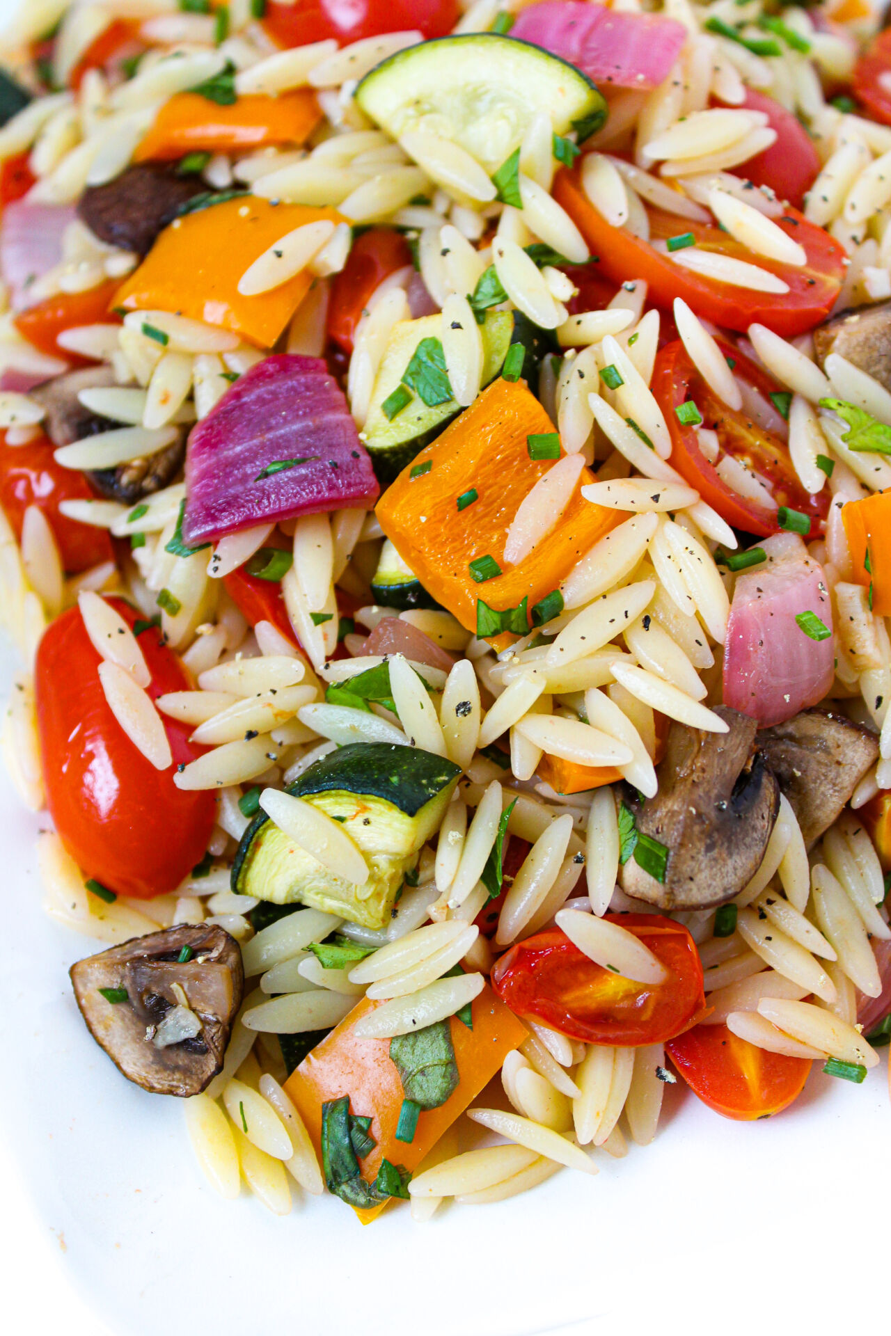 Orzo with Roasted Vegetables - Recipe photo by TheGardenGrazer