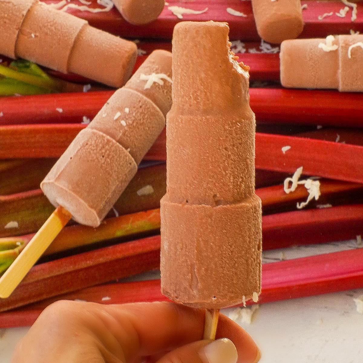 Chocolate Rhubarb Popsicles - Recipe photo by Food Meanderings