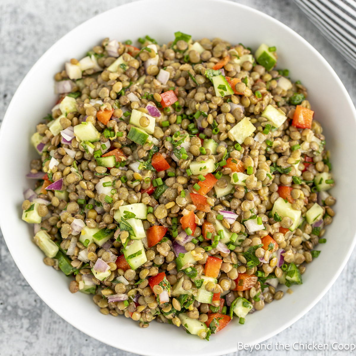 Lentil Salad - Recipe photo by BeyondtheCoop