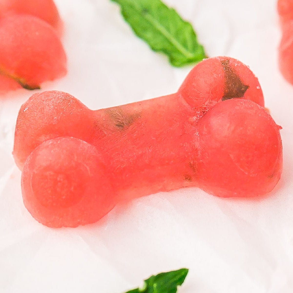 Frozen Watermelon Dog Treats - Recipe photo by OnMyKidsPlate