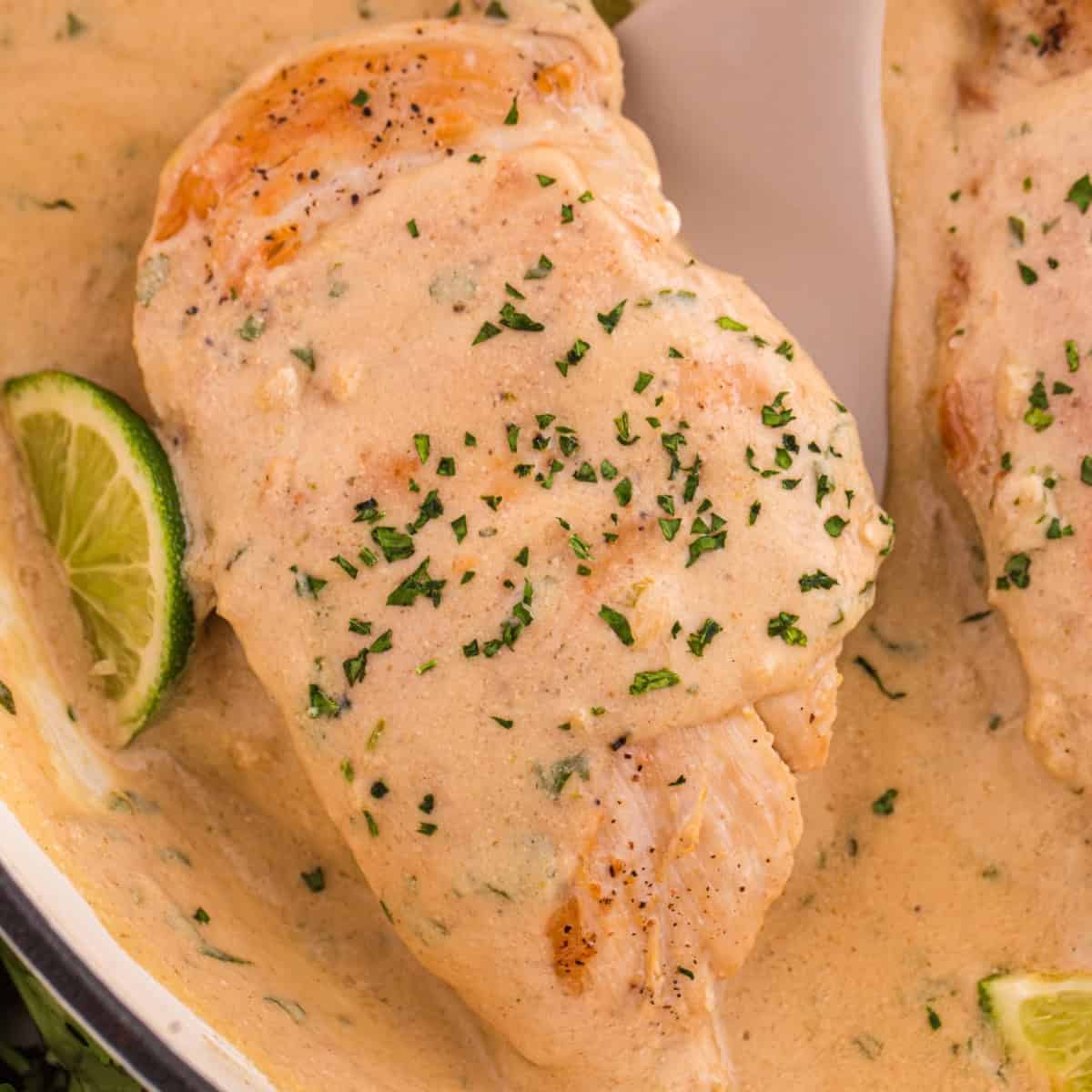 Creamy Coconut Lime Chicken - Recipe photo by Easy Chicken Recipes