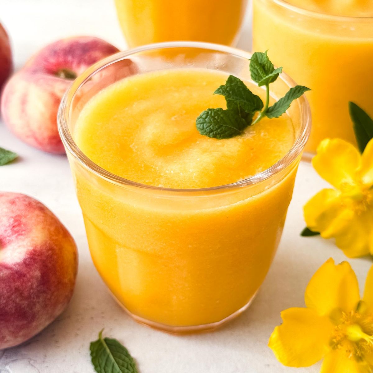 Frozen Peach Slush - Recipe photo by Low Histamine Kitchen