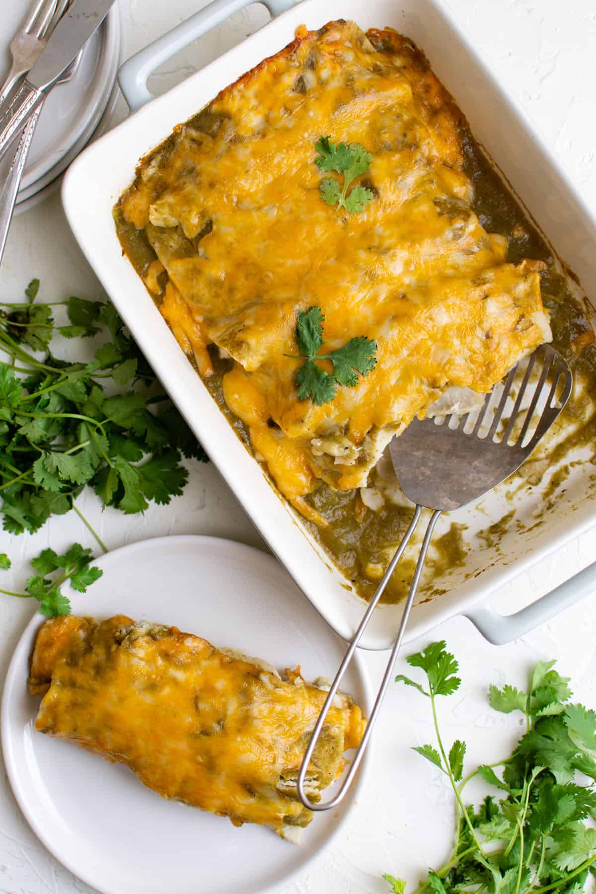 Green Chili Chicken Enchiladas - Recipe photo by TheSaltyMarshmallow