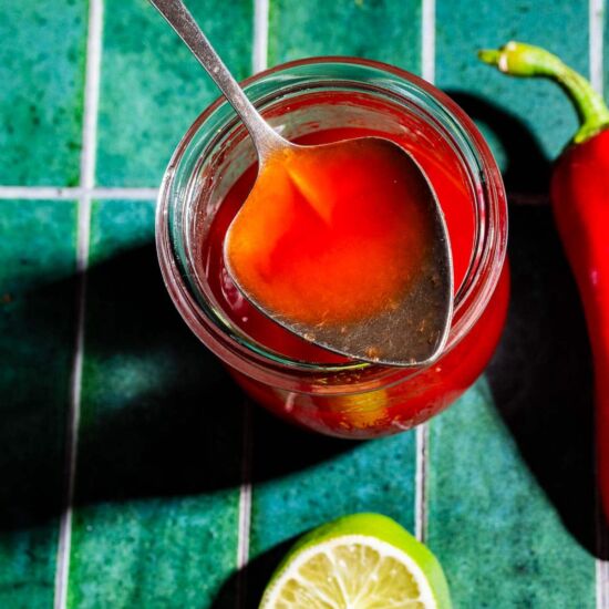 Spicy Watermelon Lime Syrup - Recipe photo by moon and spoon and yum.