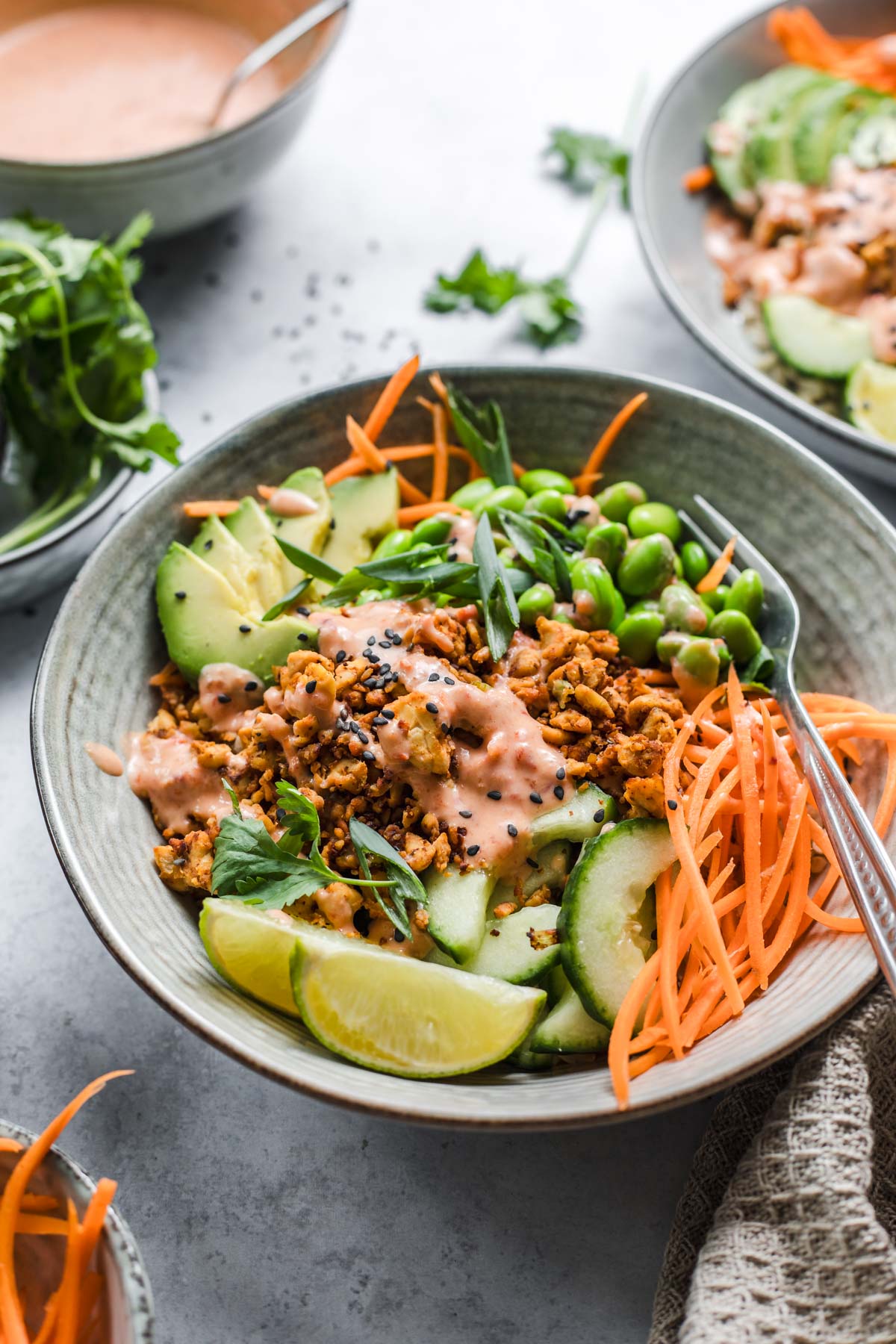 Vegan Bang Bang Tempeh Bowl - Recipe photo by veggiejam