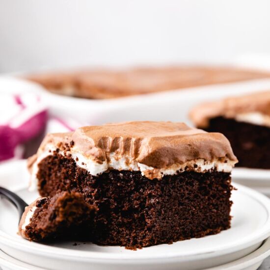 Easy Mississippi Mud Cake - Recipe photo by berlyskitchen