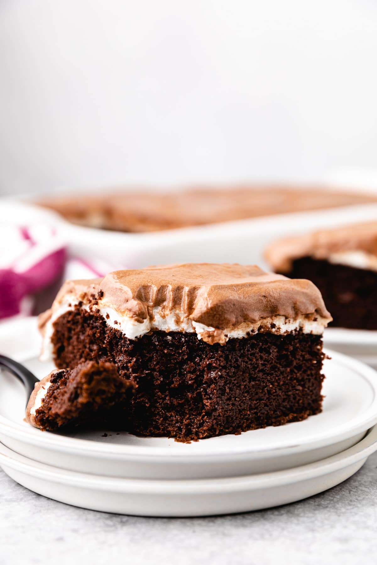 Easy Mississippi Mud Cake - Recipe photo by berlyskitchen