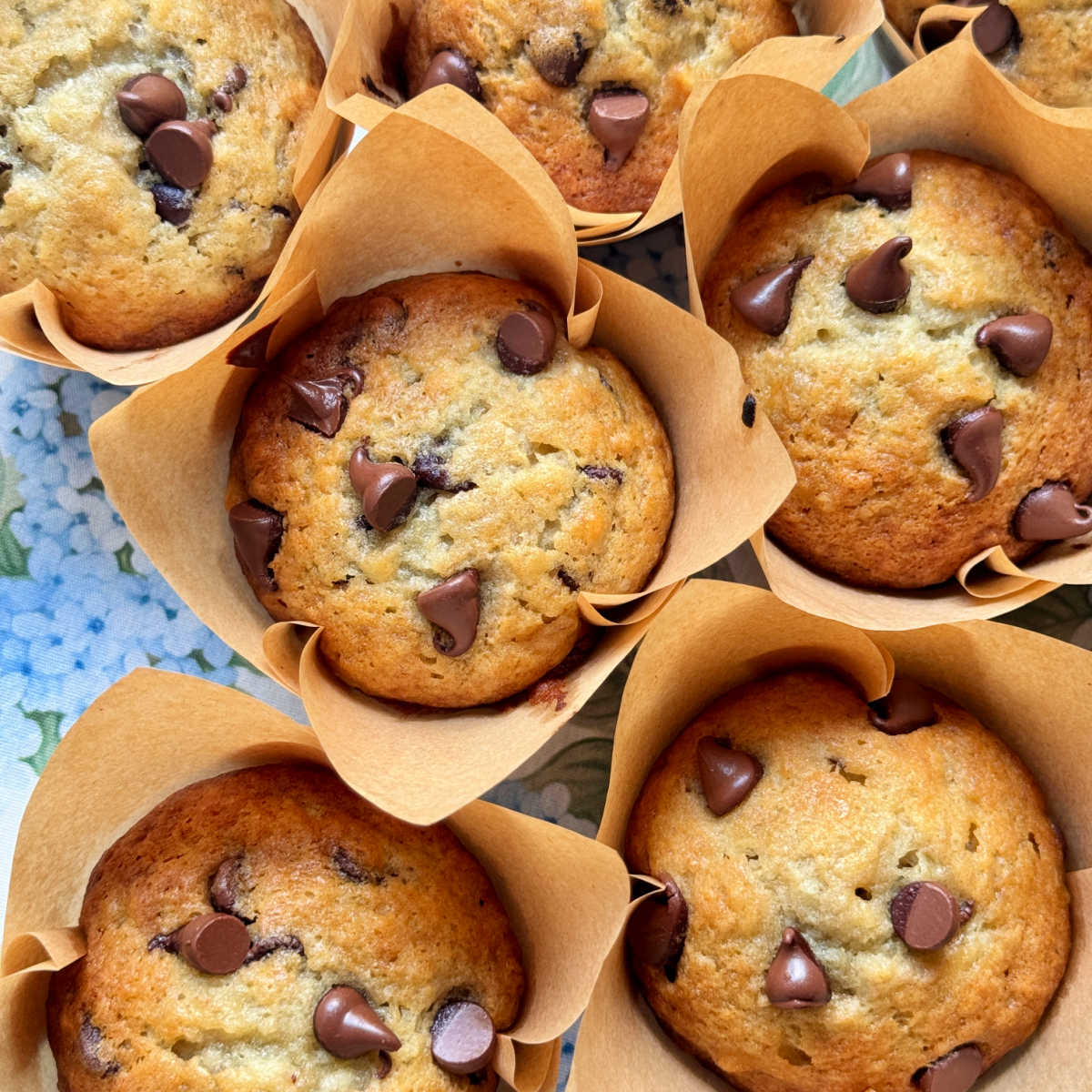 Banana Chocolate Chip Muffins - Recipe photo by Foodtastic Mom