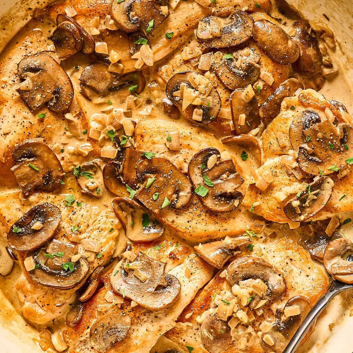 One Pan Chicken Diane - Recipe photo by Easy Chicken Recipes